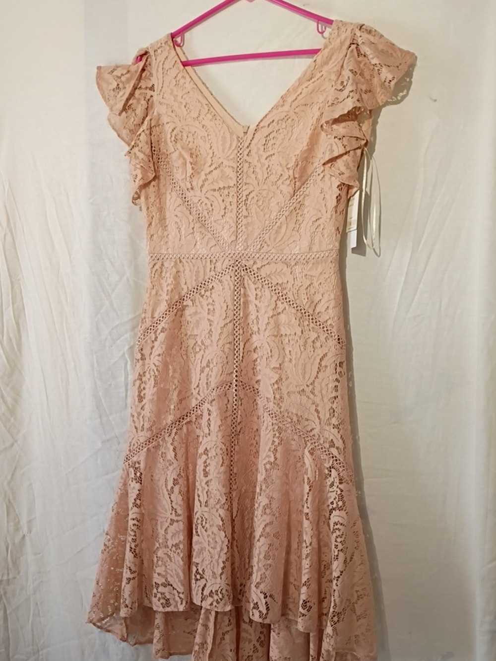 NWT Taylor Lace V-Neck Flutter Sleeve Midi Dress in Blush Pink, SZ 6